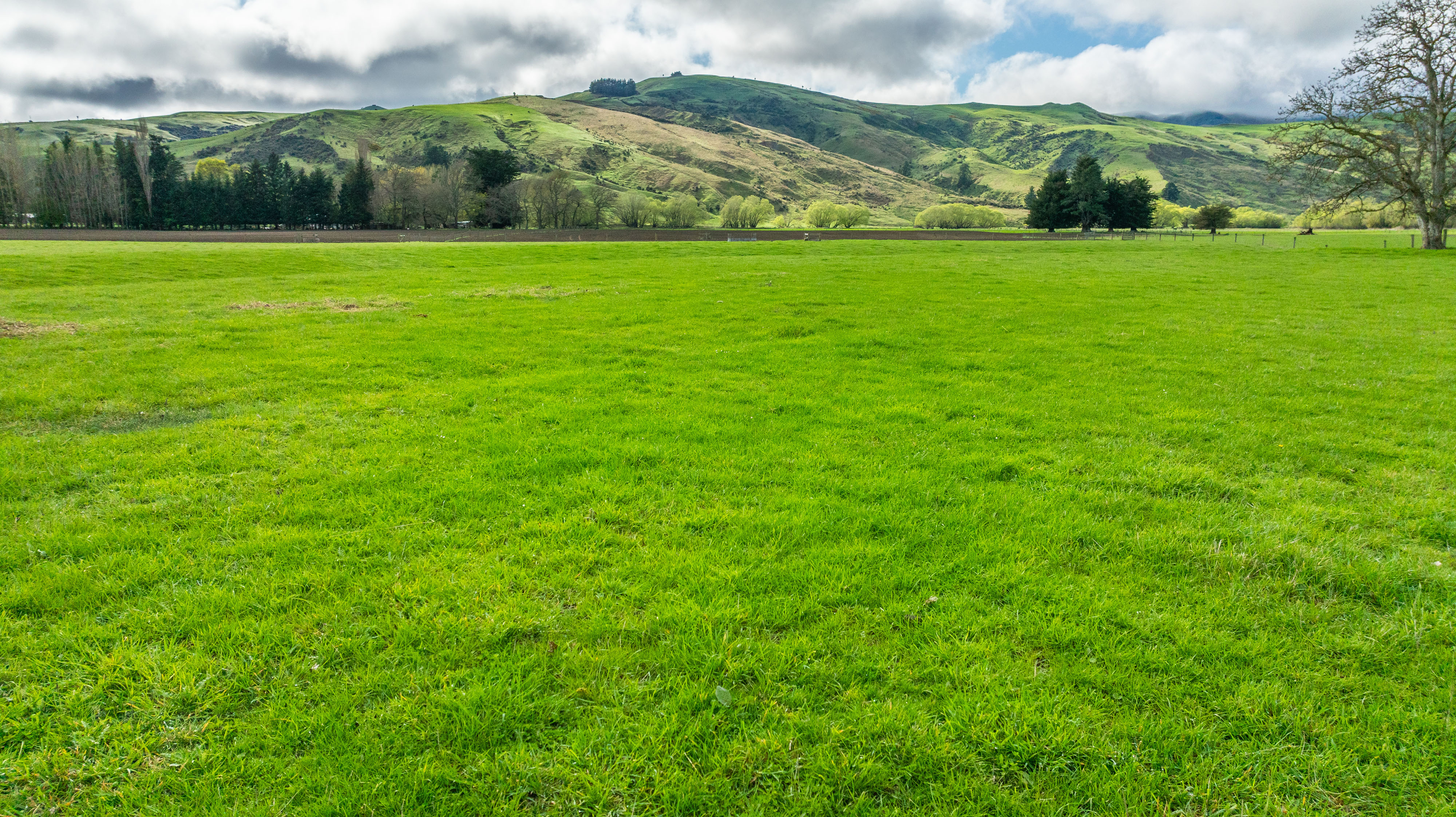 734 Leader Road West, Waiau, Hurunui, 0 રૂમ, 0 બાથરૂમ, Grazing