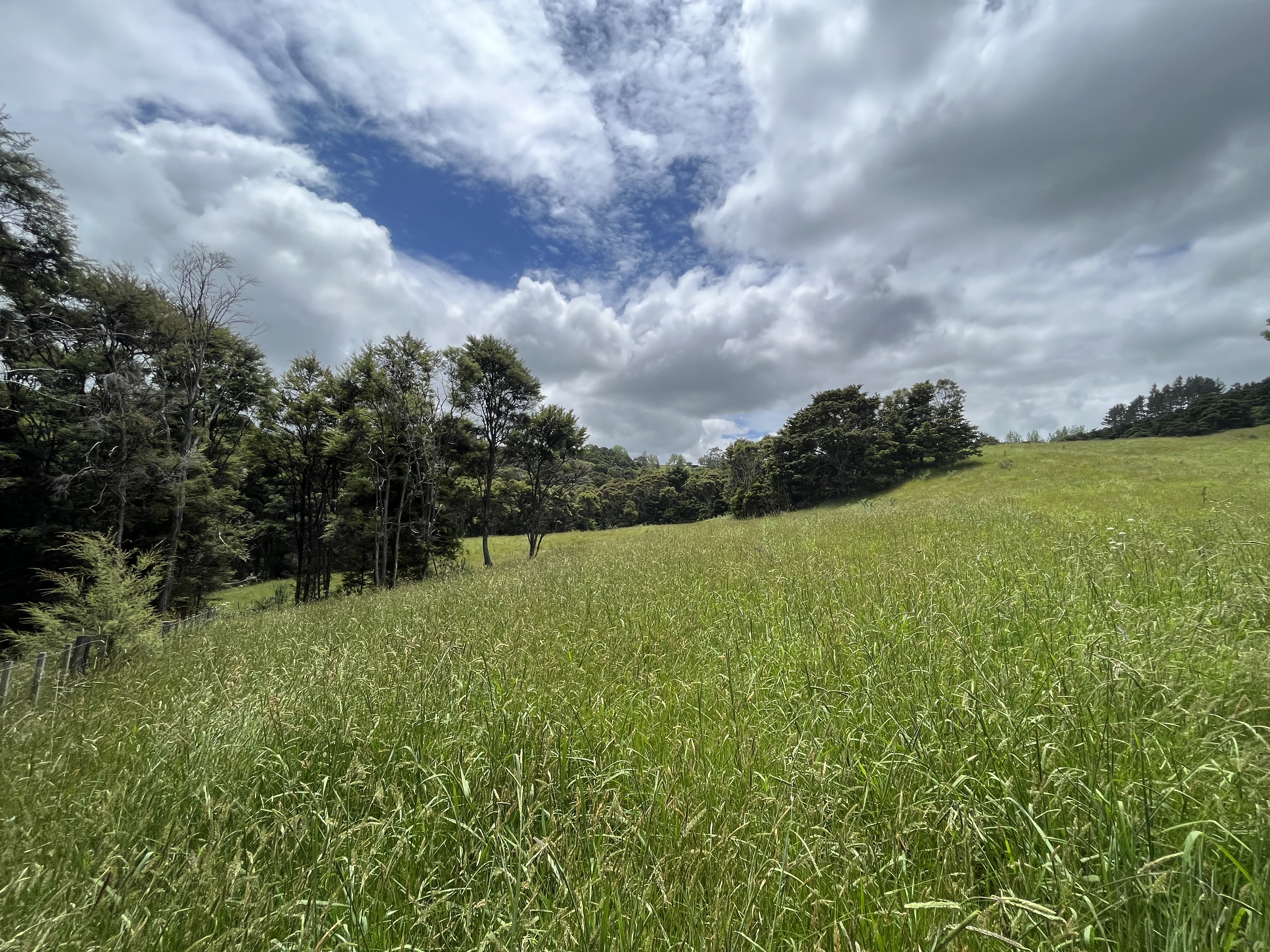 Franklin Road, Paparoa, Kaipara, 0房, 1浴, Lifestyle Section