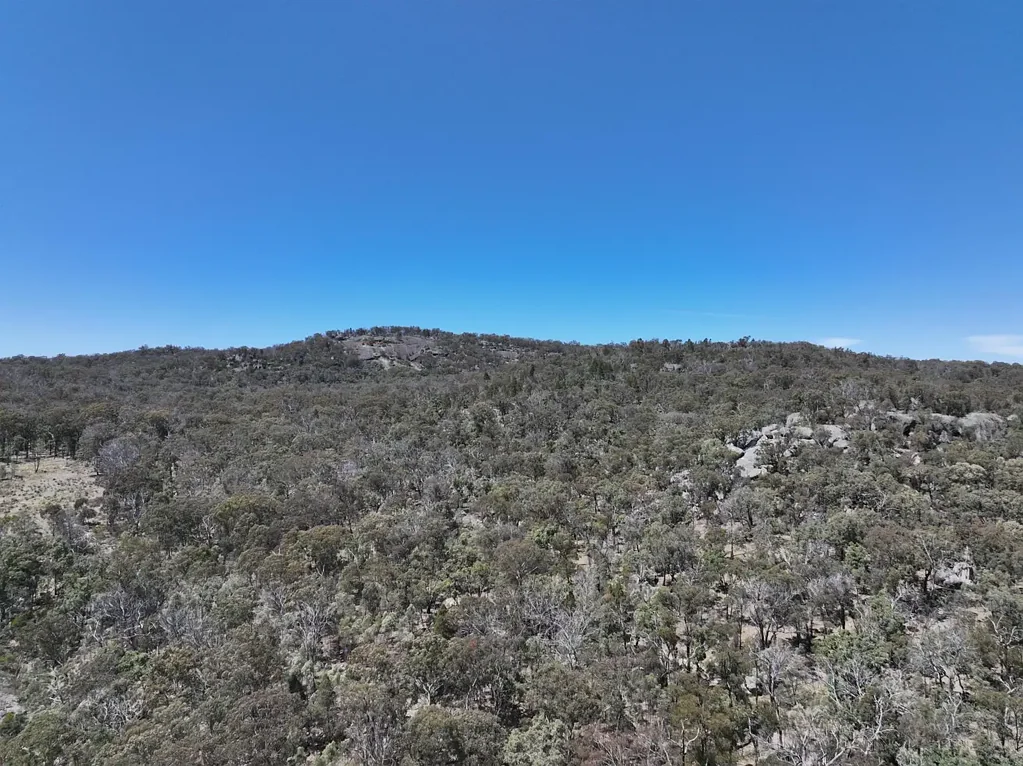 Tenterfield Get back to nature