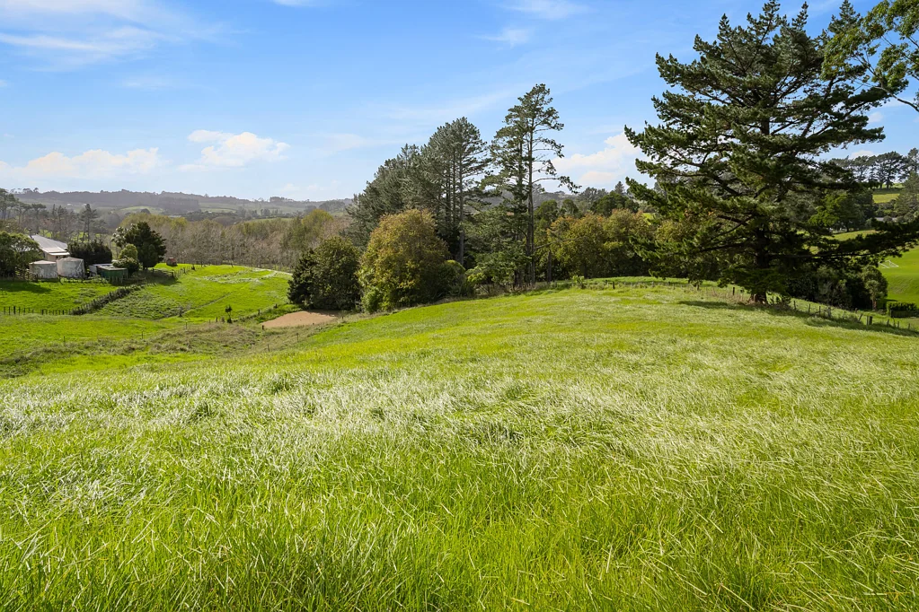 Waitoki Stunning 1ha block available in Waitoki
