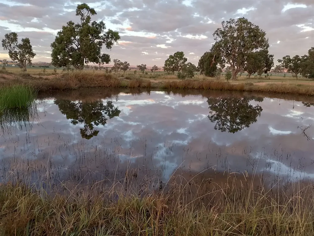 Dunedoo Charming Rural Lifestyle Property with Space, Serenity & Spectacular Sunsets Await