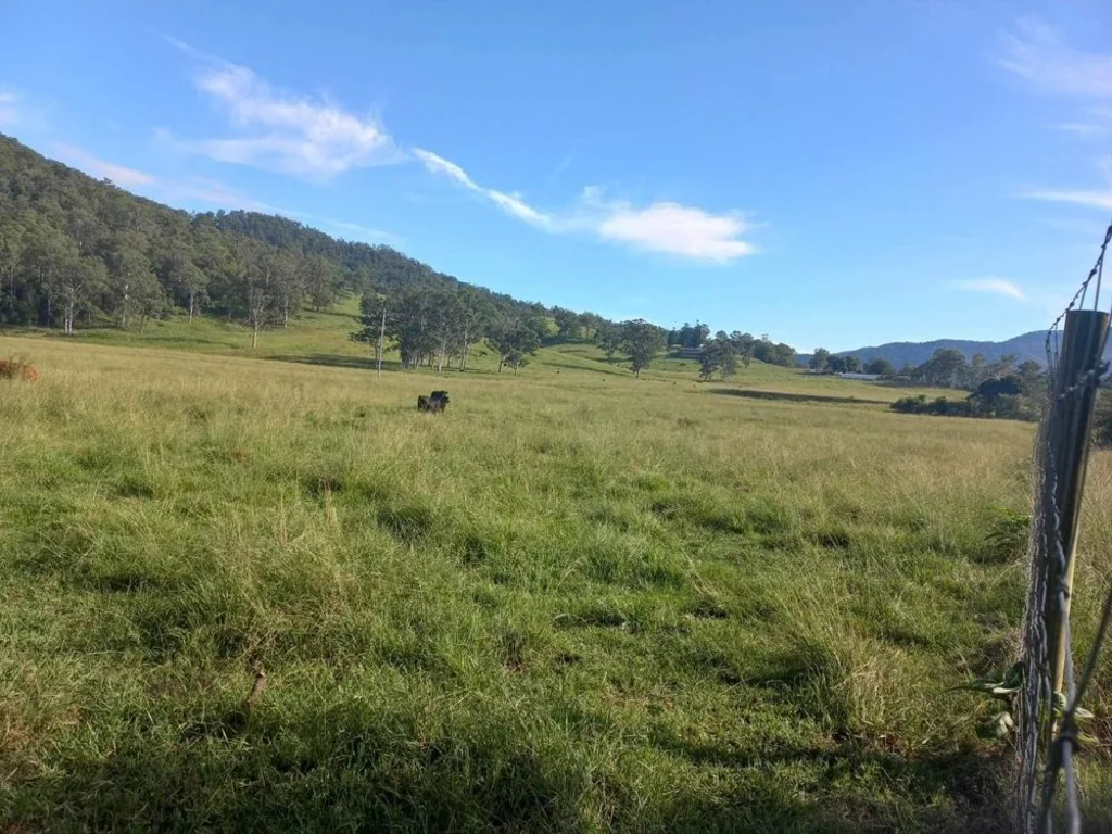 Comara  UPPER MACLEAY CATTLE COUNTRY