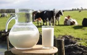 乳制品被"牺牲"：新西兰与印度自贸协定的"艰难抉择"