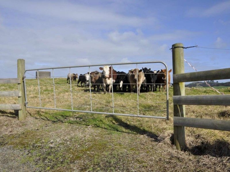 Dunn Road, Ruawai, Kaipara, 0房, 1浴