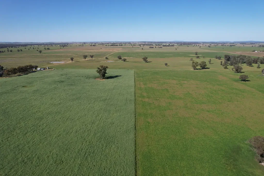 Forbes "Glenroy", 658 acres for a perfect starter block or additional property.