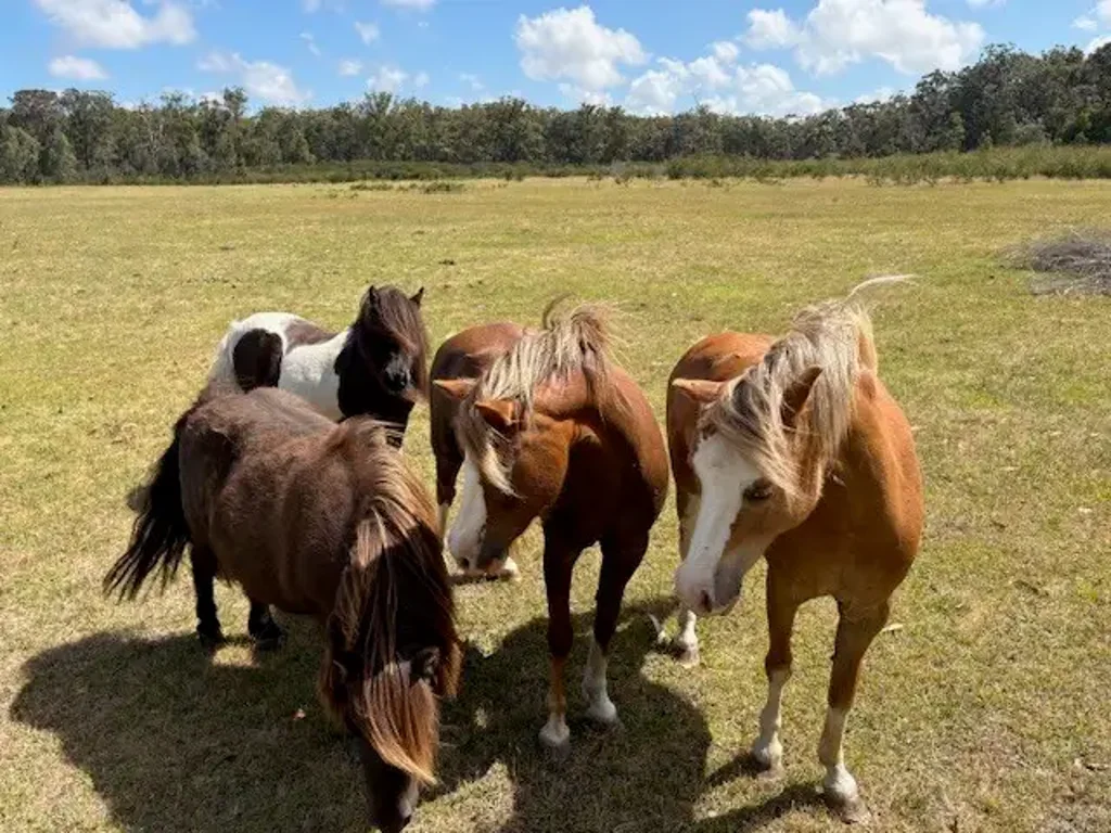 Woodside 41 Acres in Rural South Gippsland