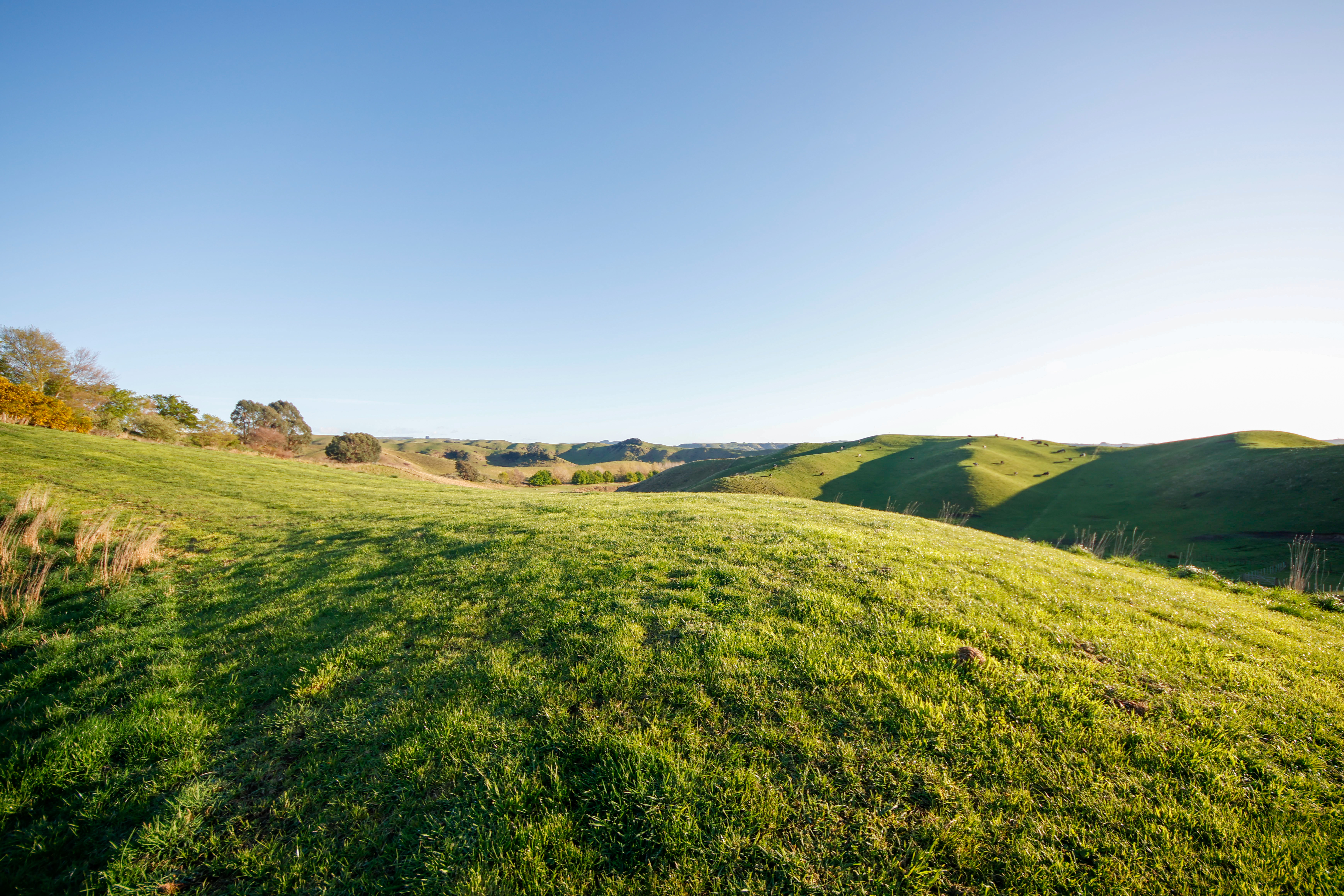 Kawera Road, Central Hawkes Bay Coastal, Hastings, 0 રૂમ, 0 બાથરૂમ, Lifestyle Section