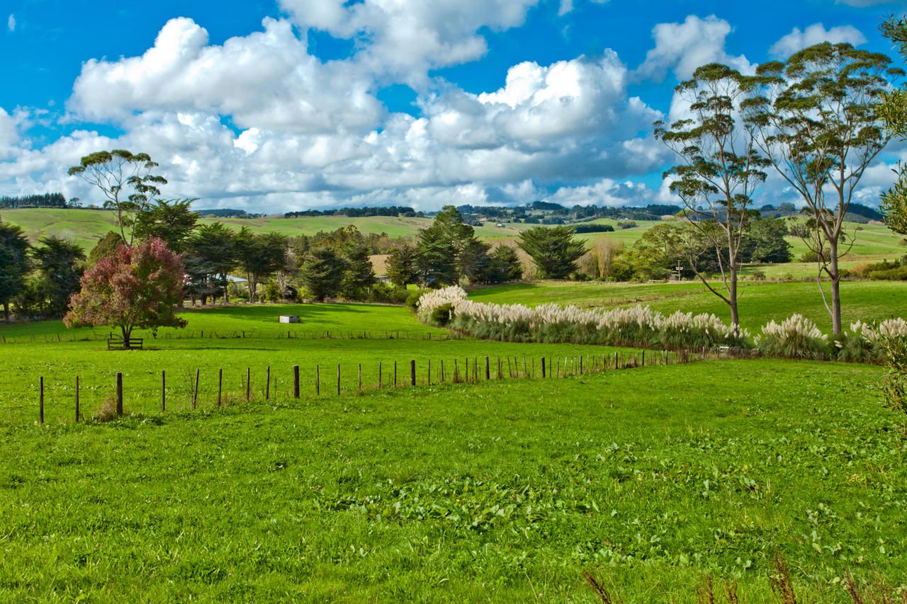 Rural  Rural Production Zone