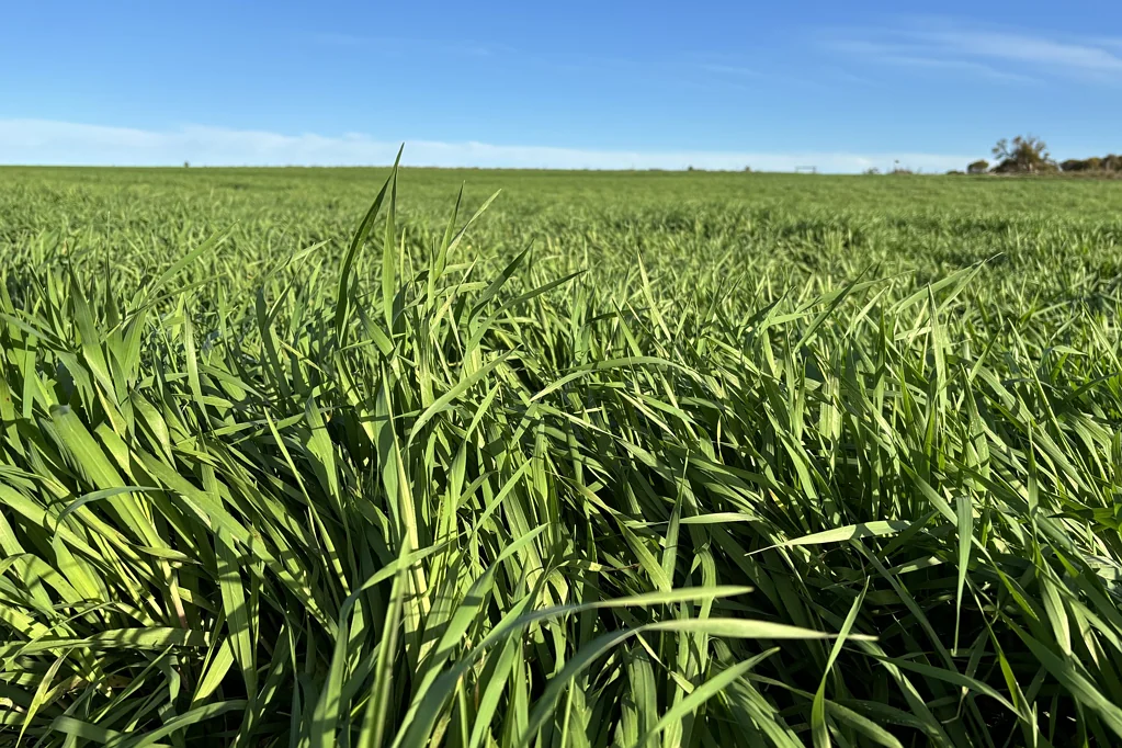 Port Neill  Opportunity Knocks - Mixed Farming on Eastern E.P