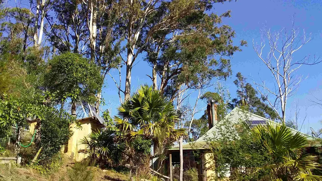 297 Cochranes Flat Rd, Kiah, NSW 2551