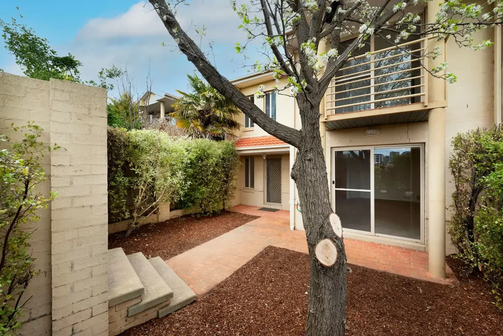 Leafy Haven That Feels Like Home