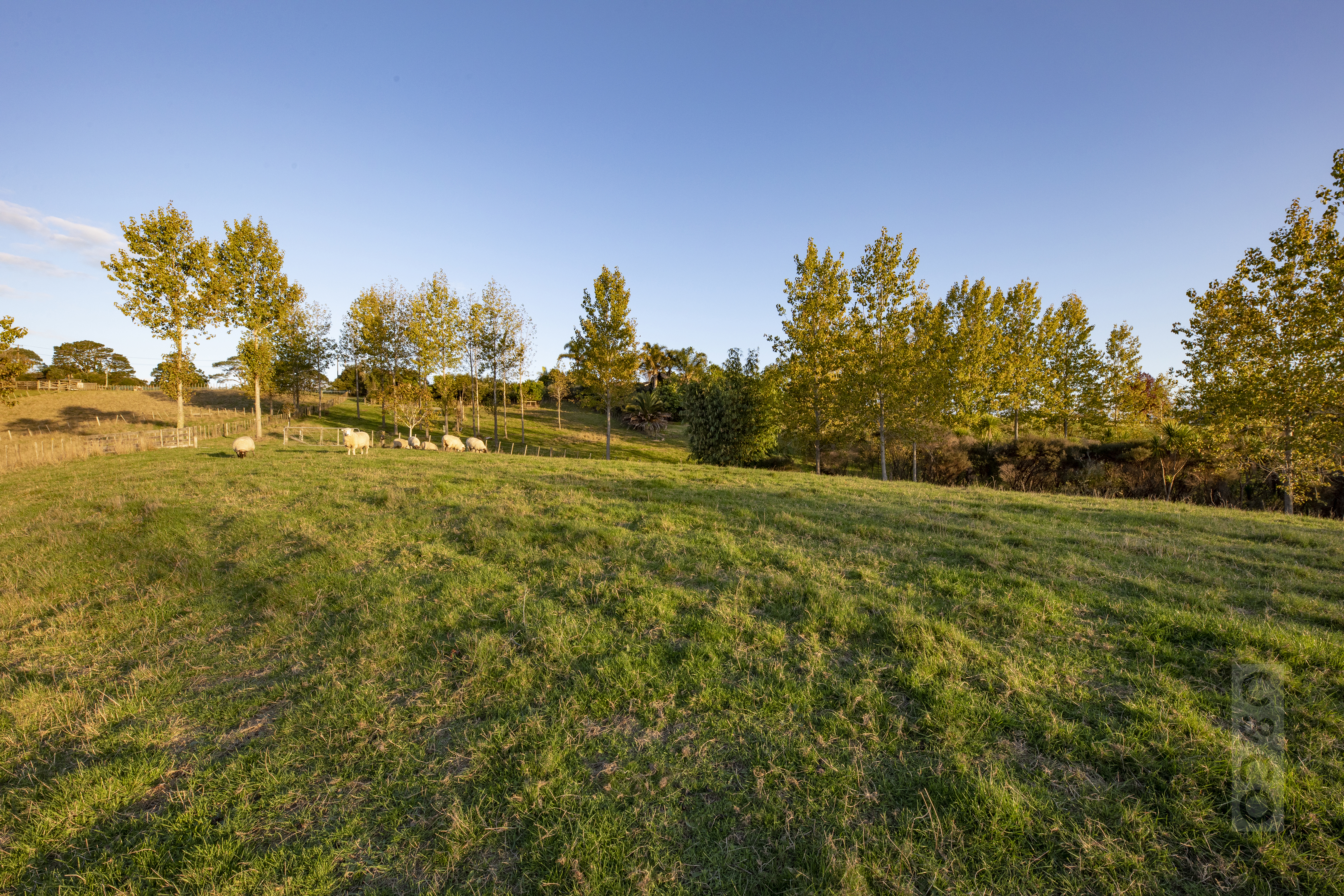 524 Ridge Road, Riverhead, Auckland - Rodney, 0 habitaciones, 0 baños, Section