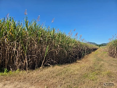 Address Withheld, Bartle Frere, QLD 4861, 0 rūma, 0 rūma horoi, Lifestyle Property