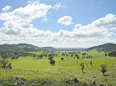Address Withheld, Gulgong, NSW 2852, 0 Schlafzimmer, 0 Badezimmer, Lifestyle Property