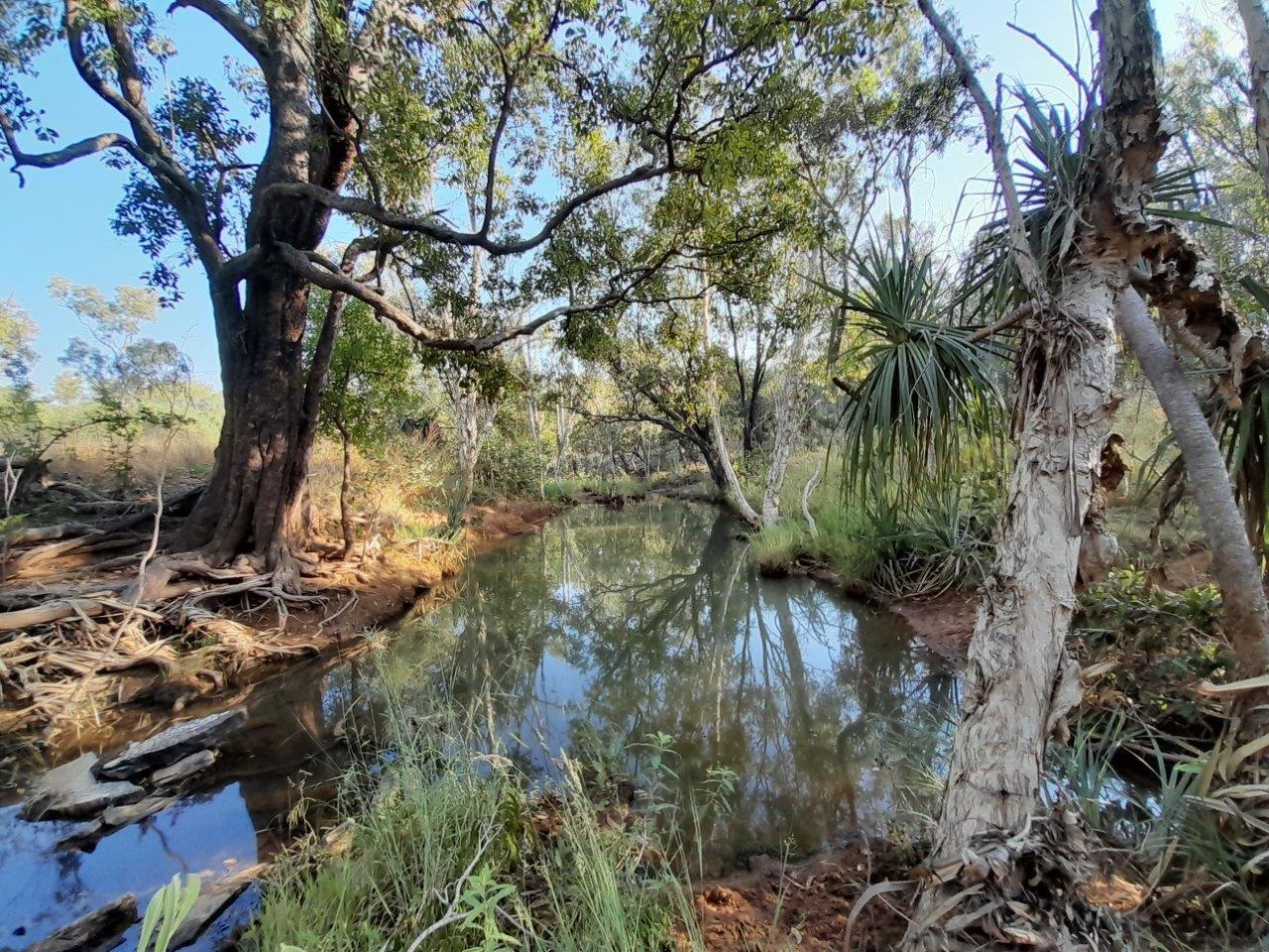 689 REEDBEDS RD, DARWIN RIVER NT 0841, 0 ห้องนอน, 0 ห้องน้ำ, Section