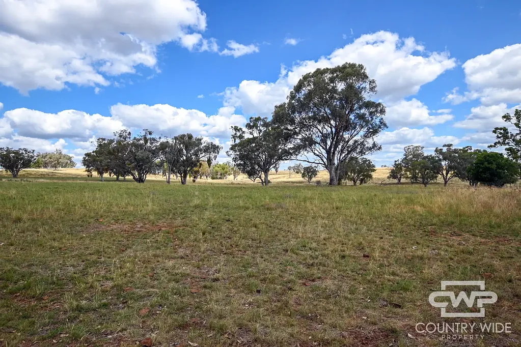 Nullamanna  "Hillview West" - A grazing and hunting opportunity