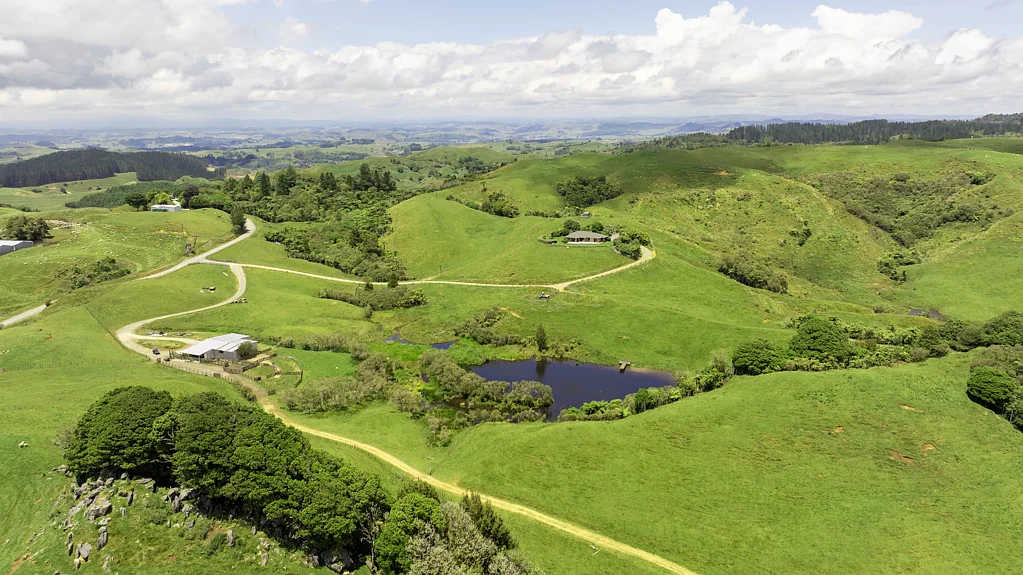 Waitomo Great Finishing Farm