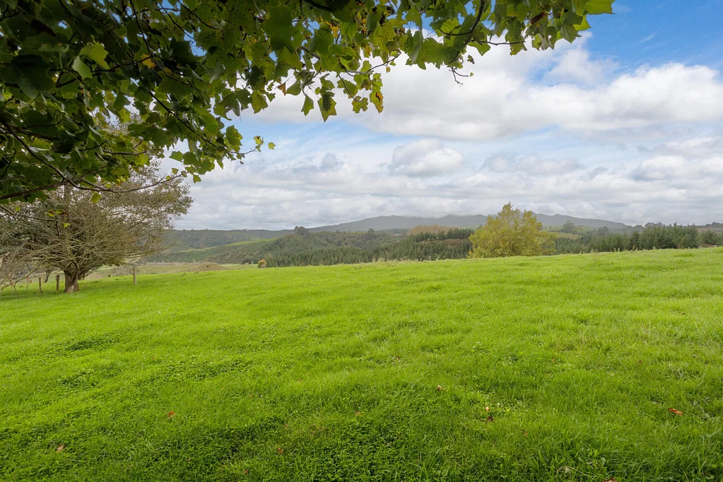 Te Awamutu North-facing section with country views