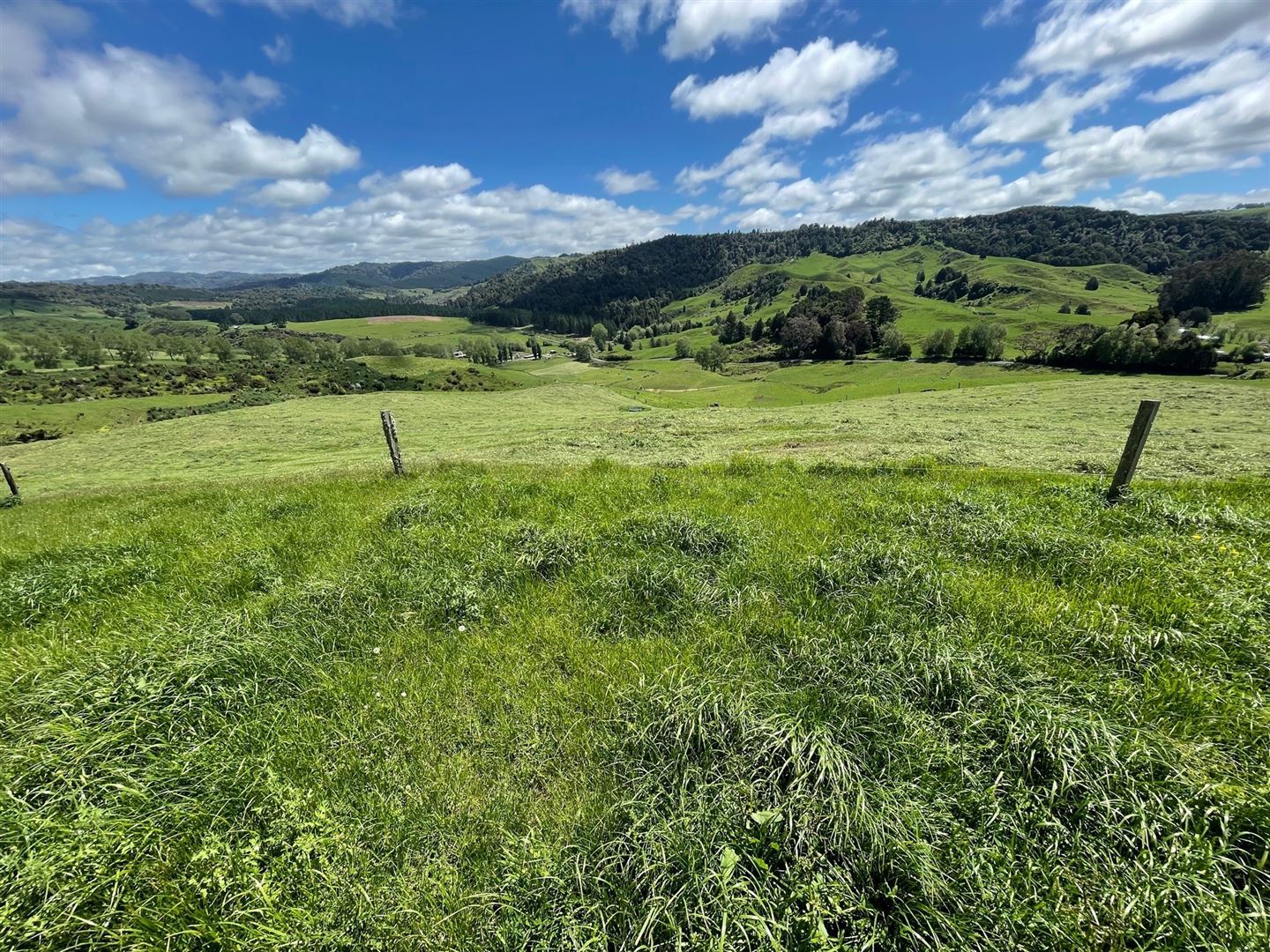 67 Okoko Road, Otorohanga, Otorohanga, 0 ਕਮਰੇ, 0 ਬਾਥਰੂਮ