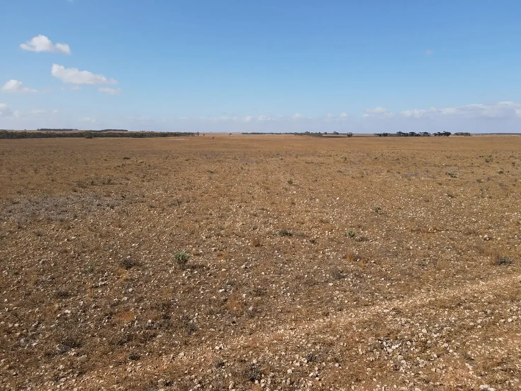 Black Hill Reliable Grazing or Mixed Farming opportunity
