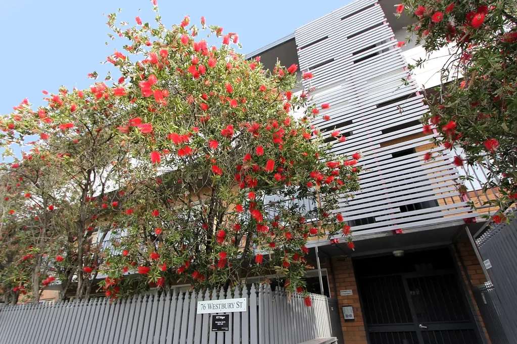 Courtyard Apartment in the Heart of St Kilda East