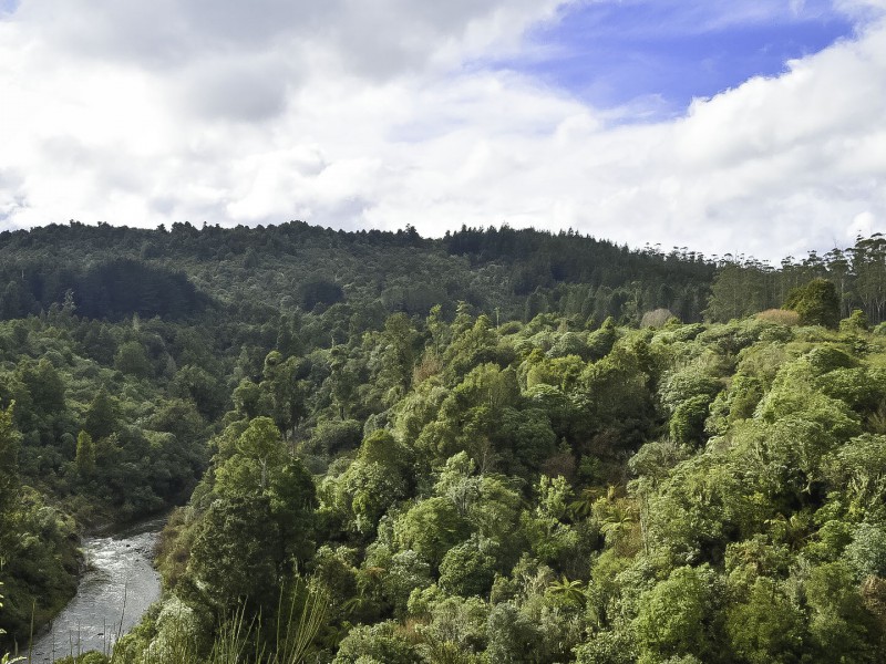 1732 State Highway 4, National Park, Ruapehu, 0 phòng ngủ, 1 phòng tắm