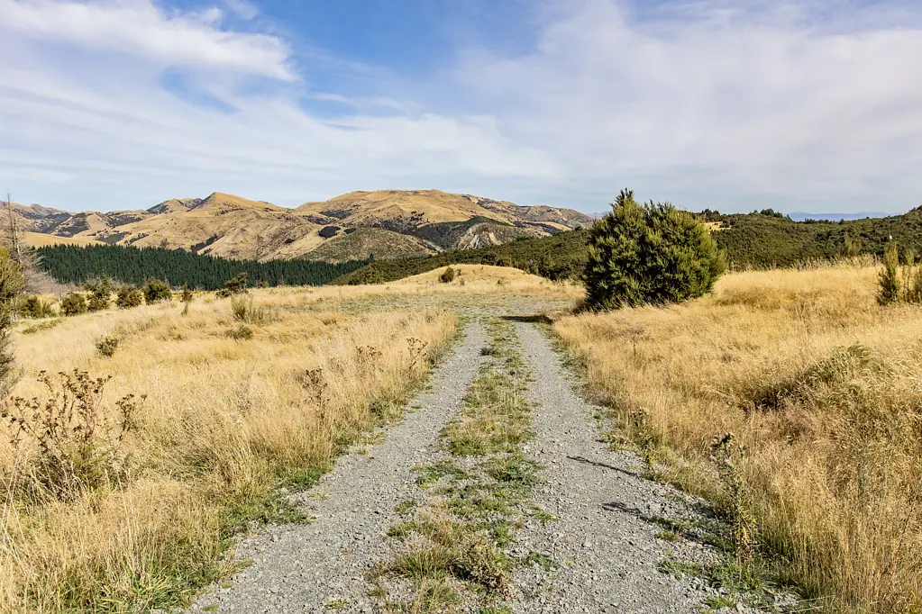 Lyford Enchanting Slice of New Zealand!