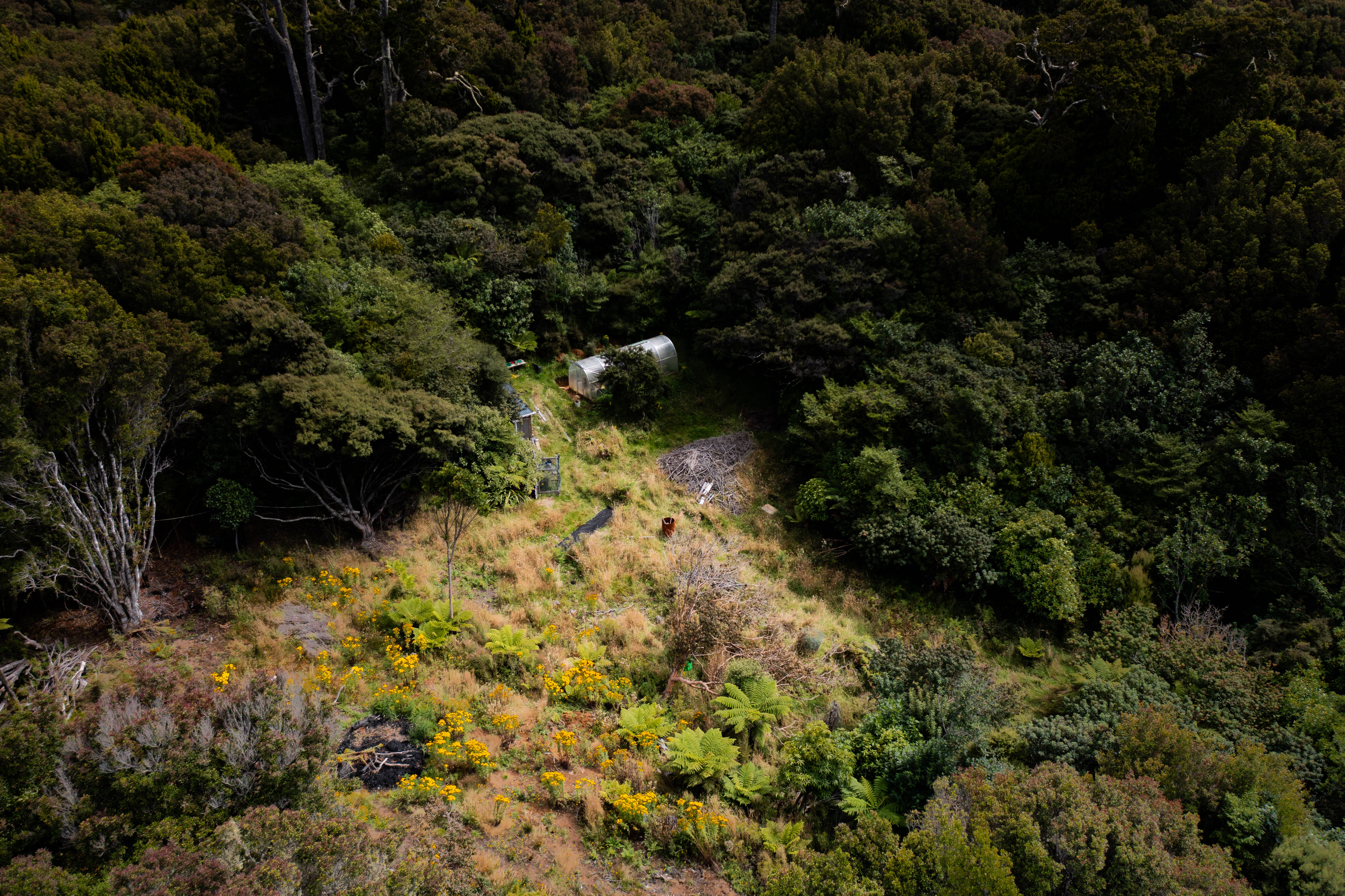 52 Wohlers Road, Stewart Island/Rakiura, Southland, 0 Bedrooms, 0 Bathrooms, Section