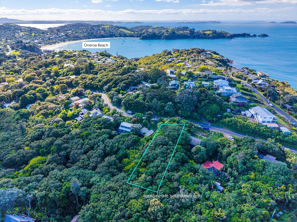 Oneroa  FINE FIND IN "LITTLE O"
