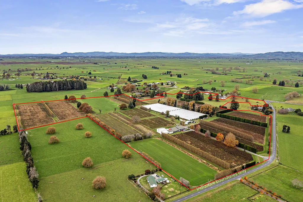 Te Awamutu Proven Berry Operation for Sale – Berryfresh