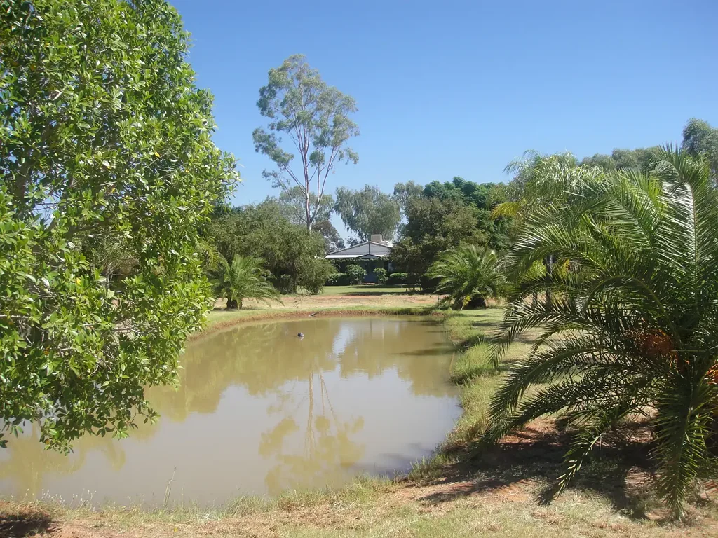 " Beechal ", Quilpie, QLD 4480