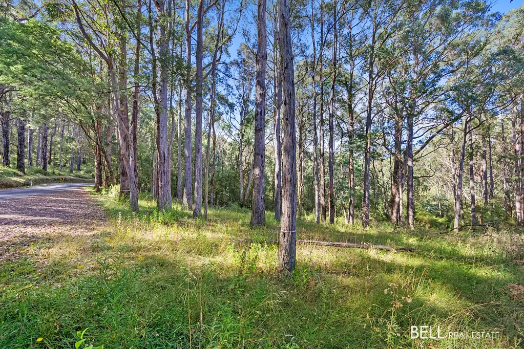 Warburton 1 Acre Approx. Vacant Land