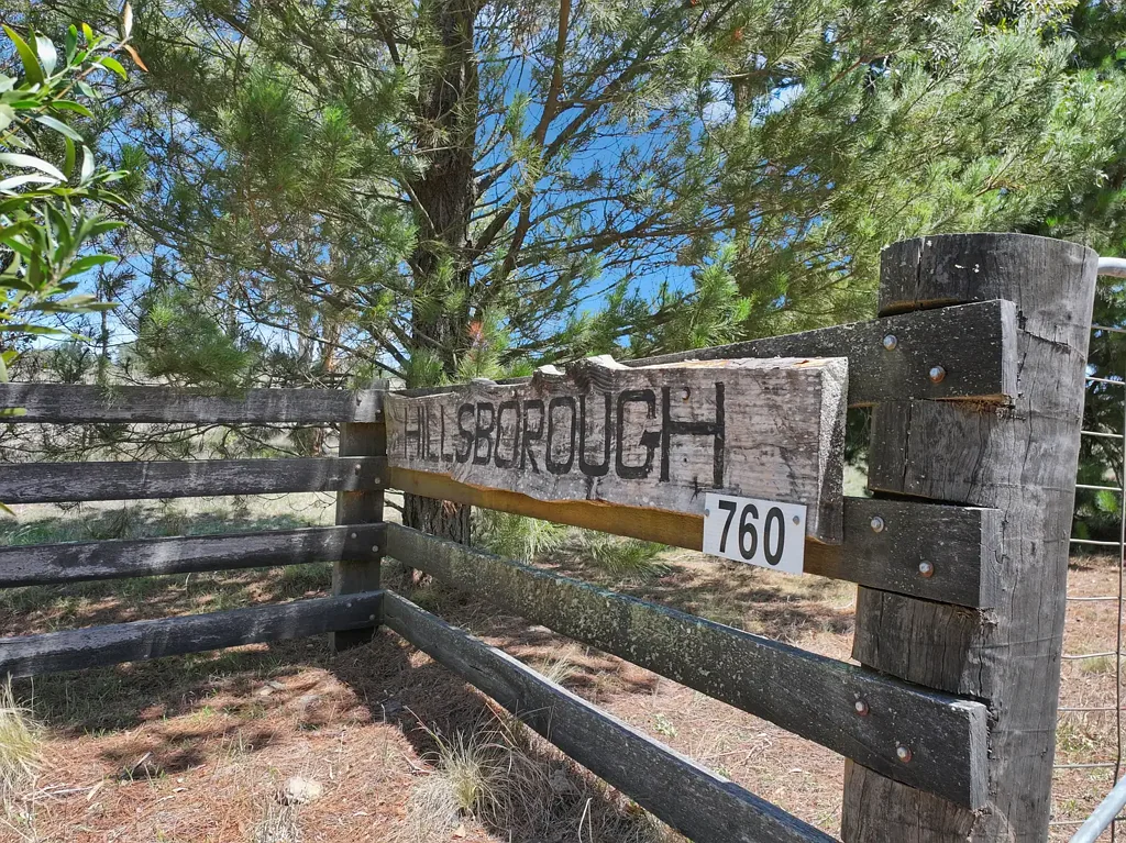 Braidwood  "Hillsborough" - Established Black Truffle Orchard