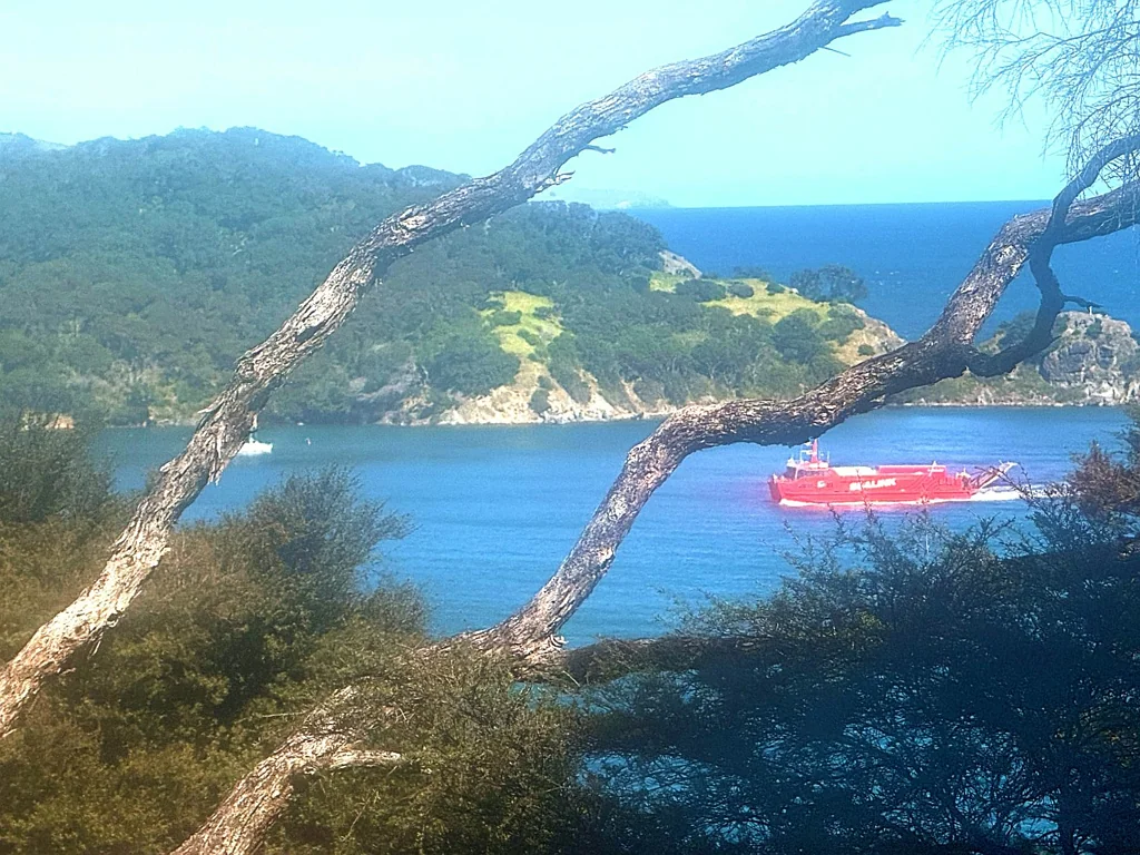 Great Barrier Island Exceptional Value OFF-GRID BUSH HIDEAWAY