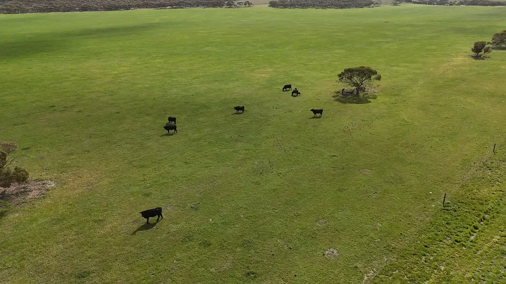 2182 Parrakie South Road, Parrakie, SA 5301