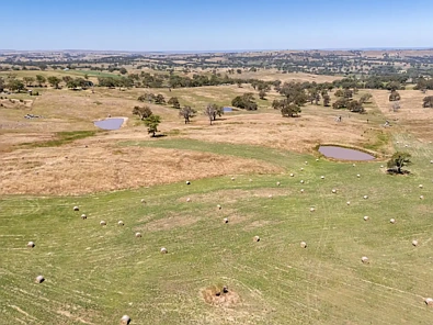 Mount Torrens 49.83 HA -  Sustainability and "Top of the World" Views