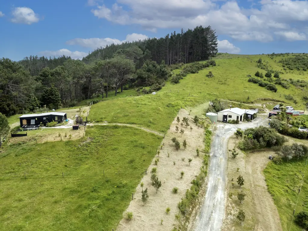 Dargaville Diamond In The Rough