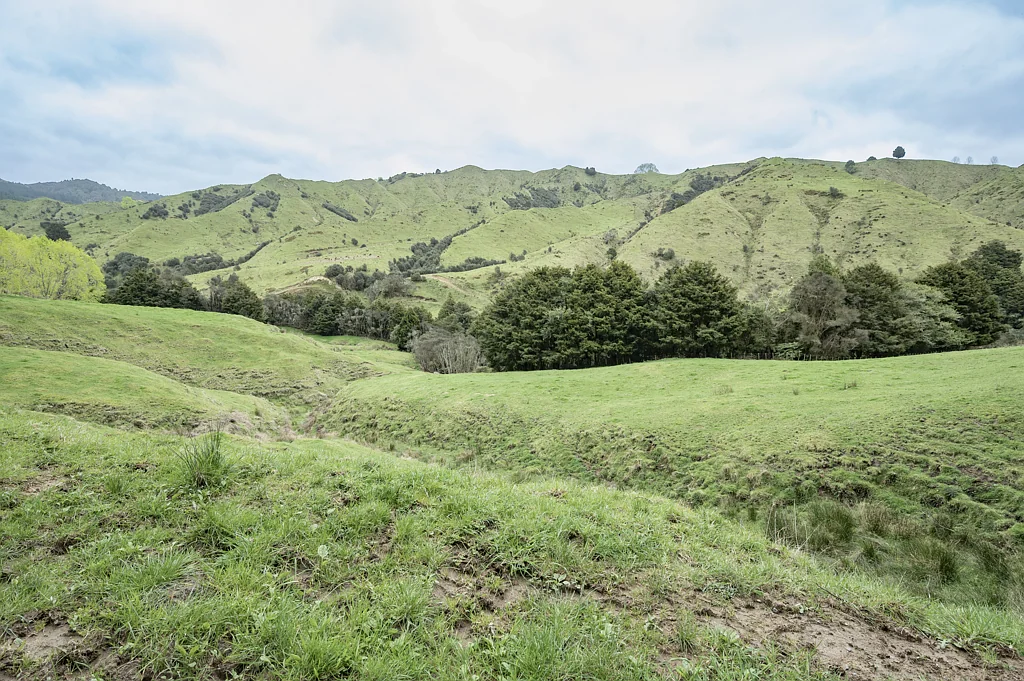 Owhango 1339 Hikumutu Road Taumarunui (part of)
