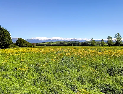91 Budd Road, Masterton, Masterton, 0 રૂમ, 0 બાથરૂમ, Lifestyle Section