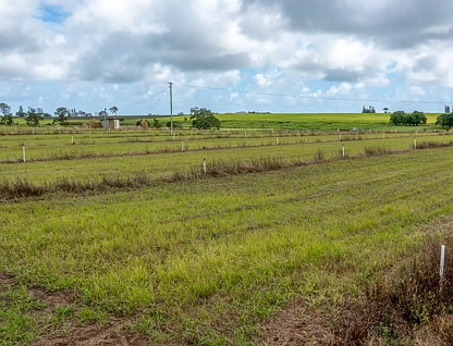 47 Gooburrum Road, Gooburrum, QLD 4670, 4房, 1浴, Lifestyle Property