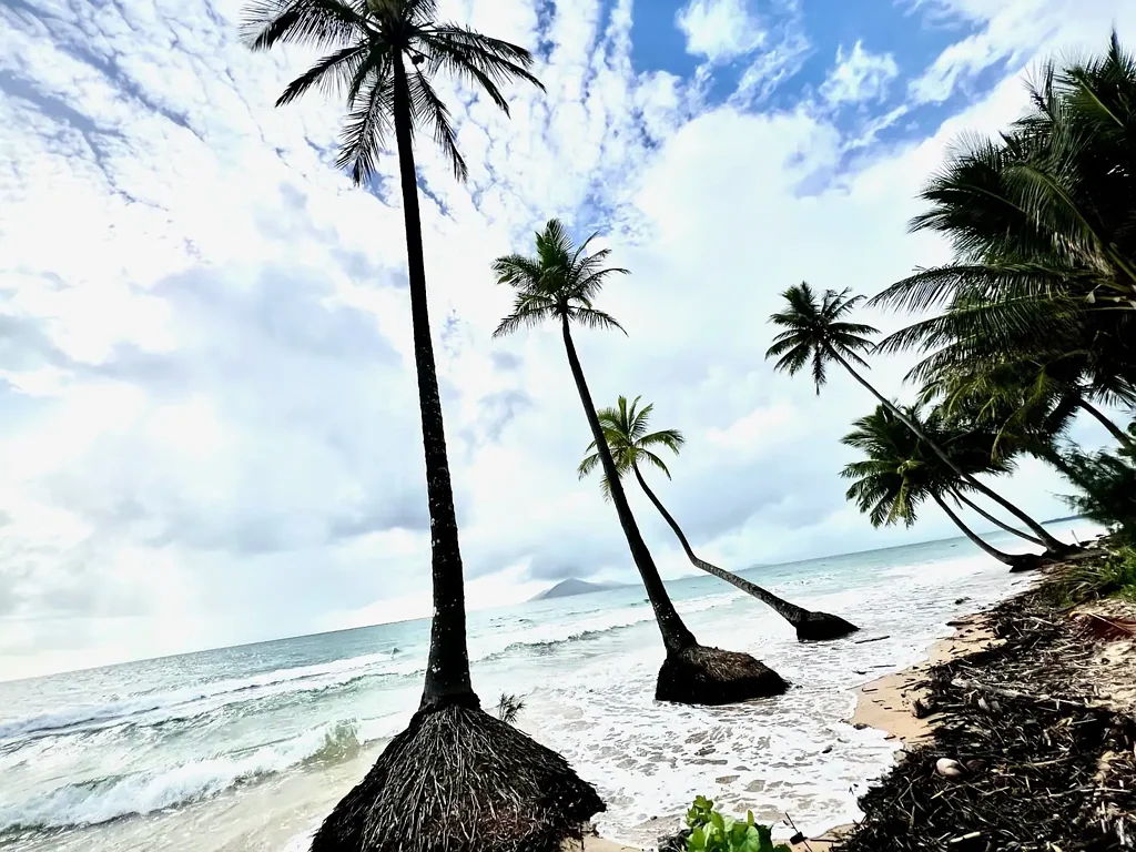 15 Mor Gan O St, Bingil Bay, QLD 4852
