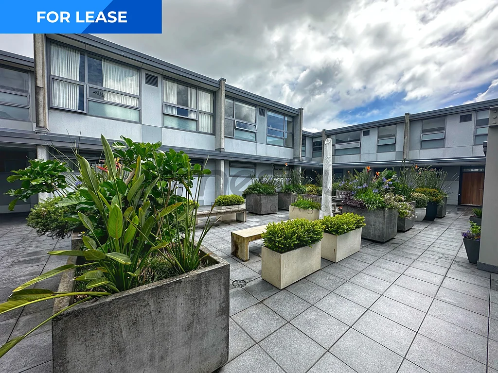 Mount Eden Exceptional Ground Floor Office Space Mt Eden