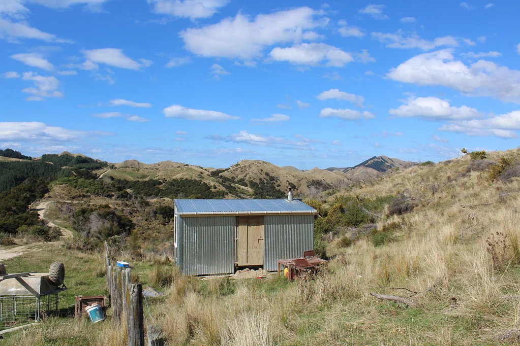 Pongaroa Hunting Block with cabin - Price Reduced!