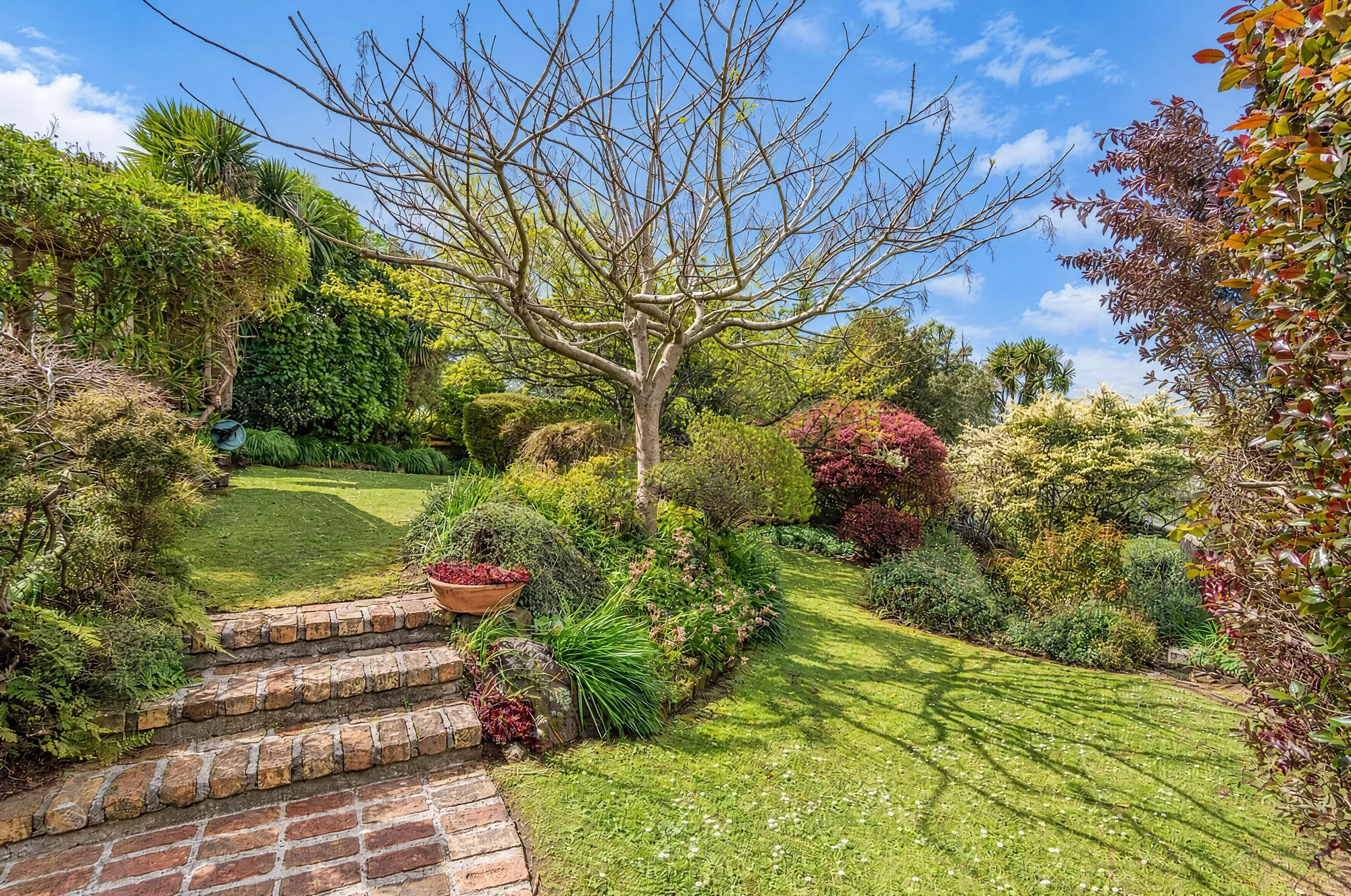 7 Bingley Avenue, Epsom, photo 7