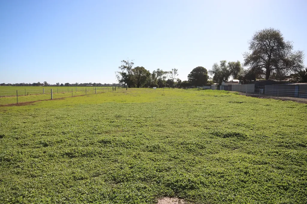 Lockington BUILD YOUR DREAM LIFESTYLE ON 1,911 m²