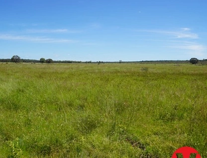 1081 Tareela Access Road, Mungallala, South West, 0 Kuwarto, 0 Banyo, Lifestyle Property