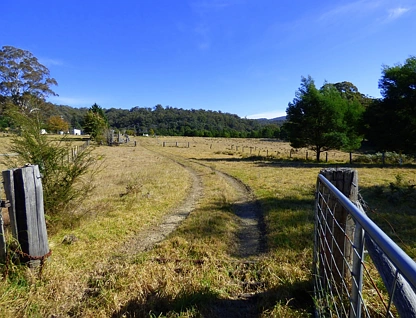 1215 Nethercote Rd, Nethercote, South Coast, 3 침실, 1 욕실, Lifestyle Property