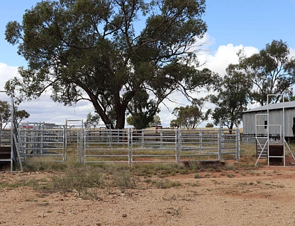 492 Eremeran Road, Condobolin, Central Tablelands, 3 Kuwarto, 1 Banyo, Lifestyle Property