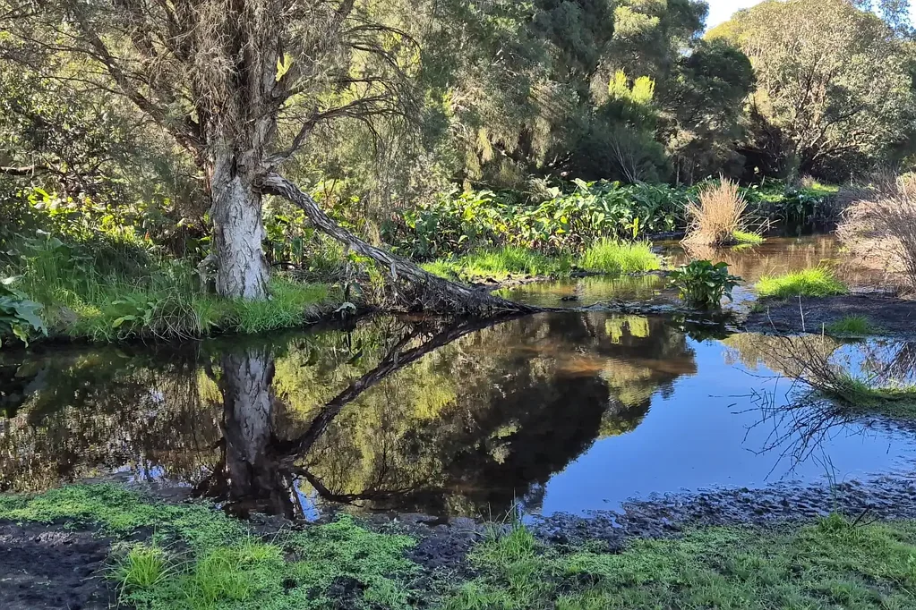 Gingin  Peaceful Brook-Front Lifestyle Block with Stunning Rural Views