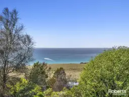 18045 Tasman Highway, Bicheno